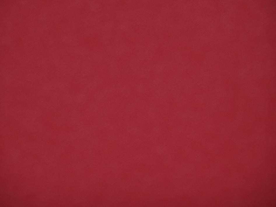 PVC in Uni roter Gestaltung 4