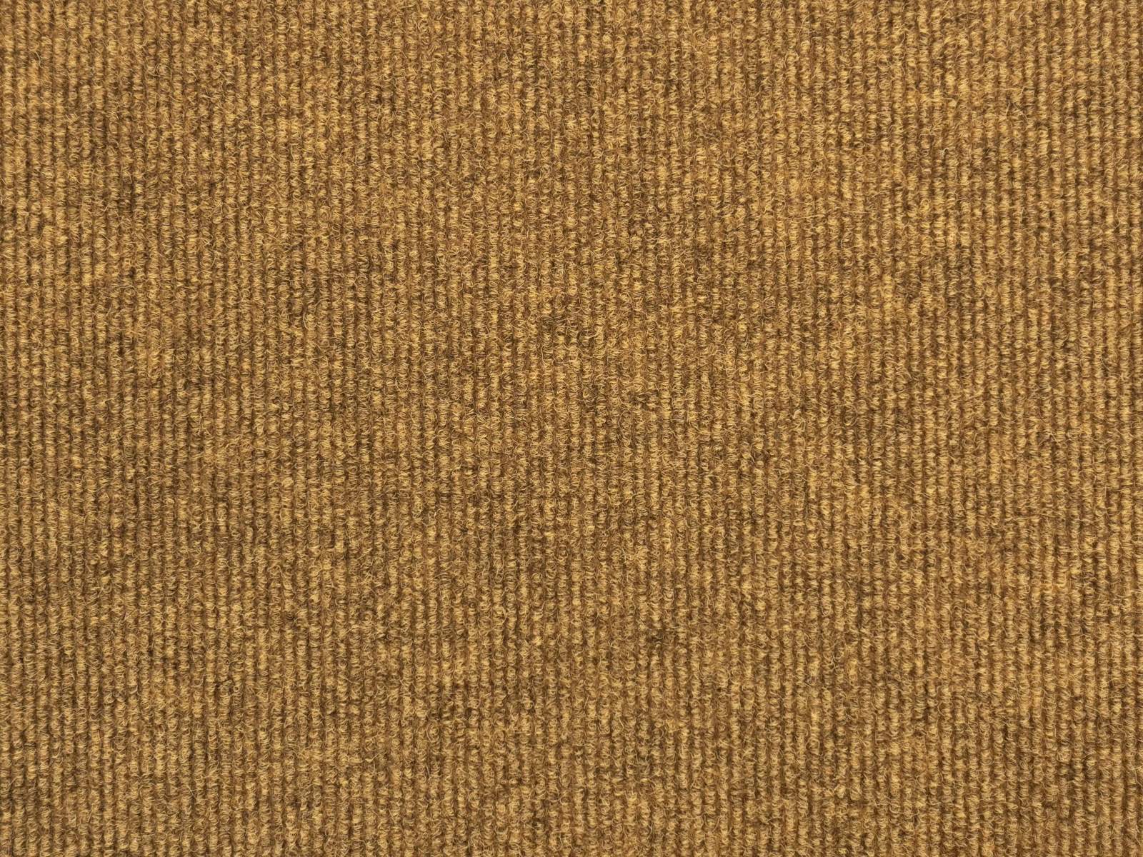 Feinripp-Teppichboden Riley