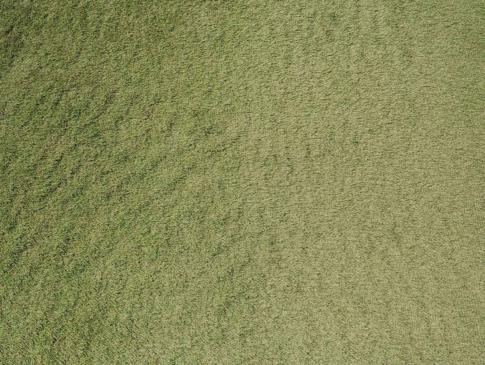 Kunstrasen Melva | Premium Outdoor-Rasenteppich für den Garten und Balkon