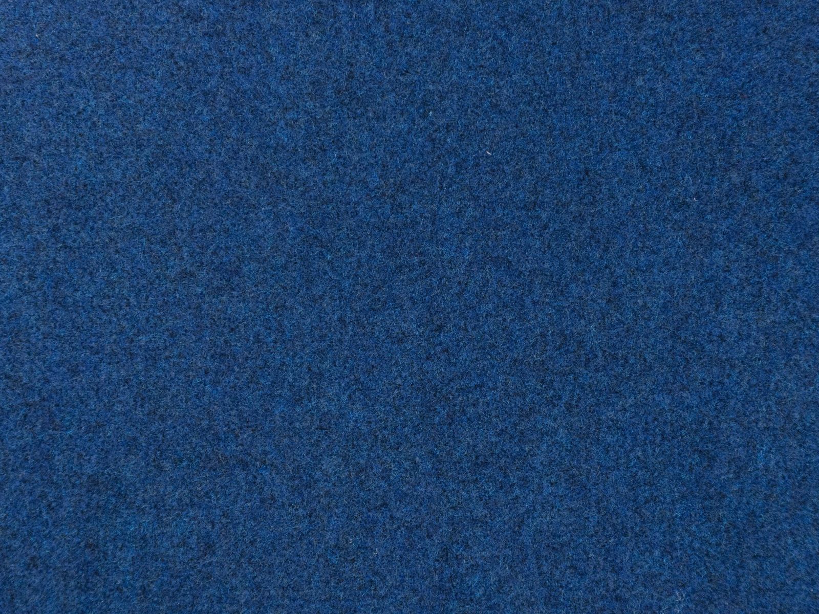 5546indiblue