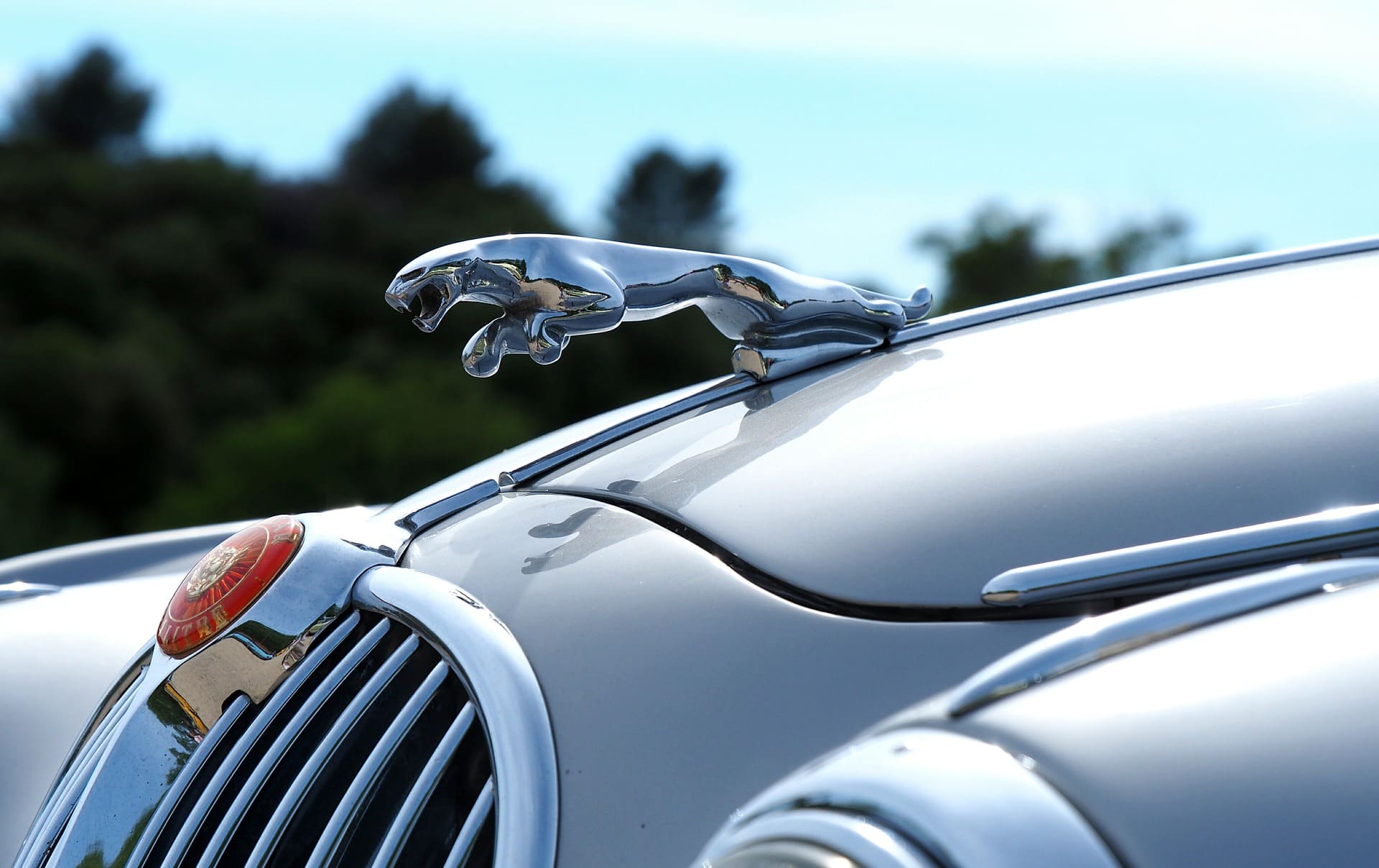 Jaguar Autofußmatten  Autoteppich online bestellen